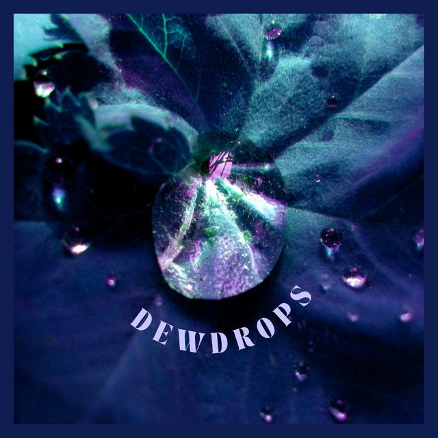 Dewdrops cover art