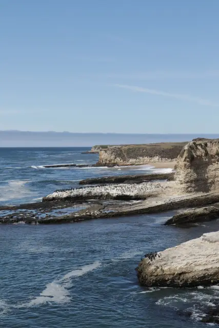 Flat sandstone shelves stepping out into blue water, a headland and the horizon beyond.