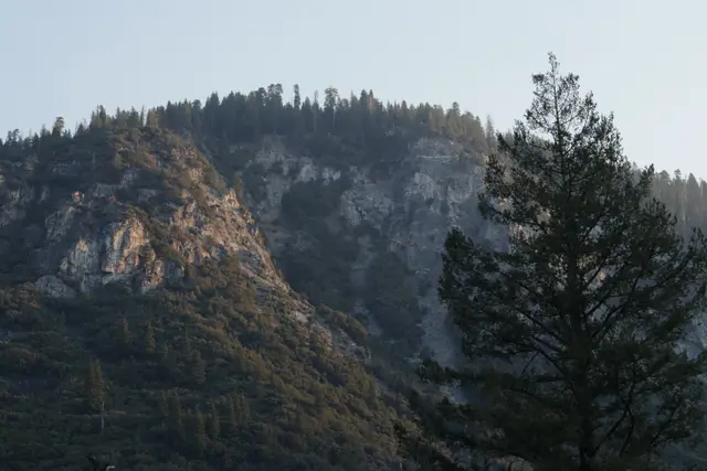 A sunlit granite ridge with pines, a tall conifer dark against the pale morning sky.