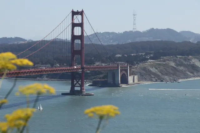 The Golden Gate Bridge across the bay, yellow wildflowers blurred in the foreground and the Marin hills behind.
