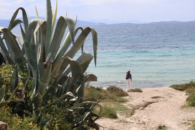 A tall agave in the foreground on a sandy path above a turquoise bay, a person standing at the water's edge and mountains across the sea.