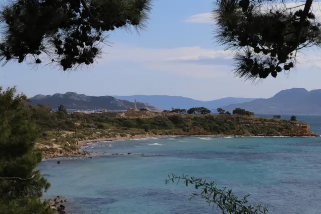 Pine branches framing a green headland and a curving bay, with mountains on the far shore.