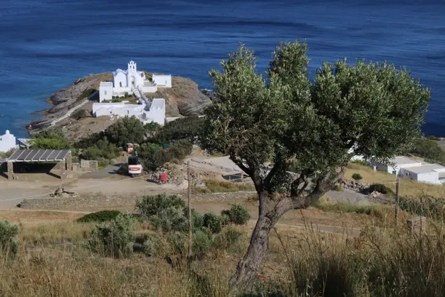 An olive tree on a dry hillside above the white monastery of Chrysopigi, the sea deep blue behind.