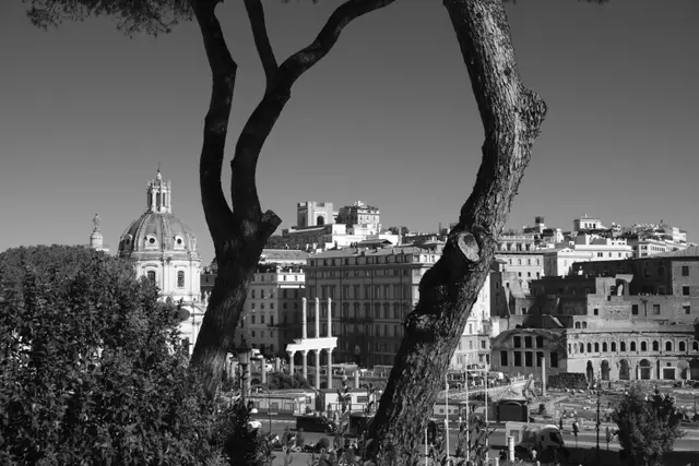 Trajan's Forum and the domes of Santa Maria di Loreto framed between two umbrella-pine trunks.