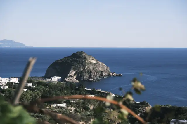 The islet of Sant'Angelo tied to the shore by a thin strip of land, deep blue sea, vines in front.