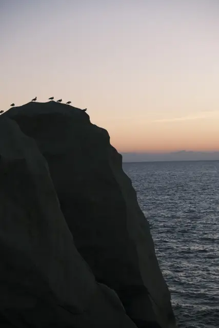 Gulls lined up along the top of a big rock against a sunset sky.