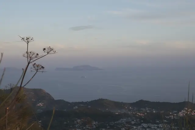 Dusk from Epomeo: villages below, Capri on the horizon, a dry fennel stalk in front.