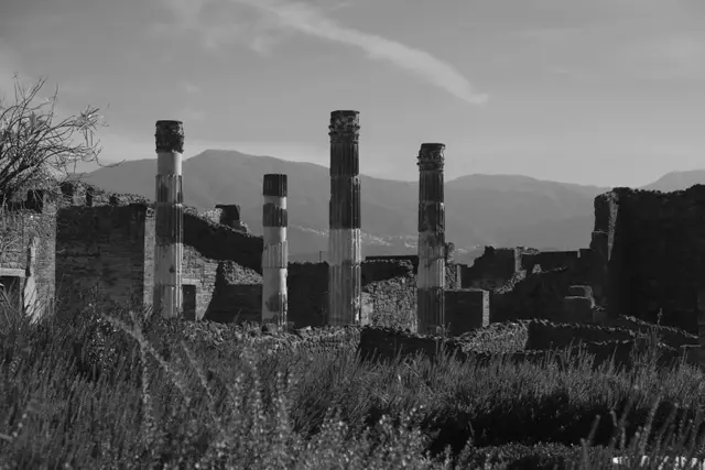 Tall columns against the mountains, grasses in front.