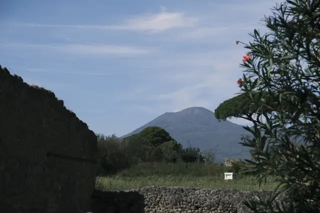 Vesuvius beyond a stone wall and a green field, oleander in front.