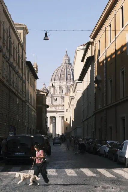 A long street with St Peter's dome at the end, someone walking a white dog across.