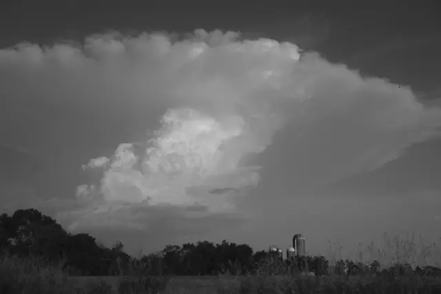 Black and white: the storm's anvil cloud spreading over a tree line and a grain silo.