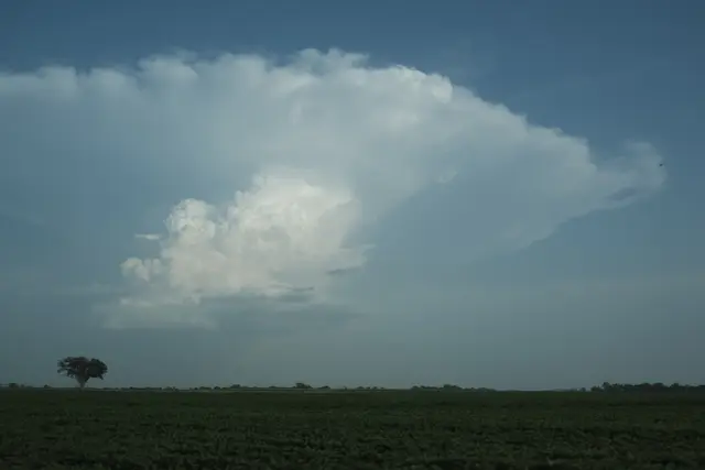 A tall white storm cloud against a blue-gray sky above a green field and a single distant tree.