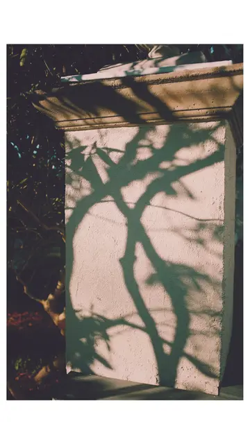 Tree shadows falling across a pale stucco gatepost.