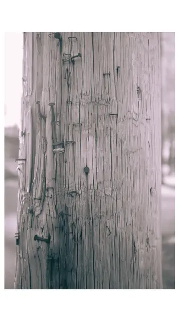 An old wooden utility pole up close, its grain cracked and stained.