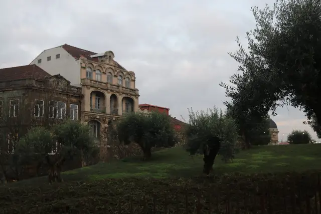 Olive trees on a lawn in front of ornate old buildings under an overcast sky.