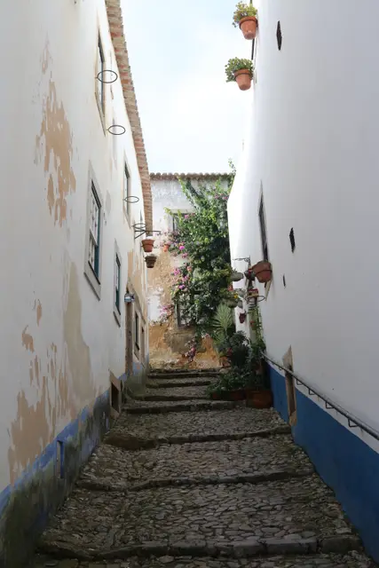 A narrow cobbled stairway between whitewashed walls trimmed in blue, flowerpots hanging above.