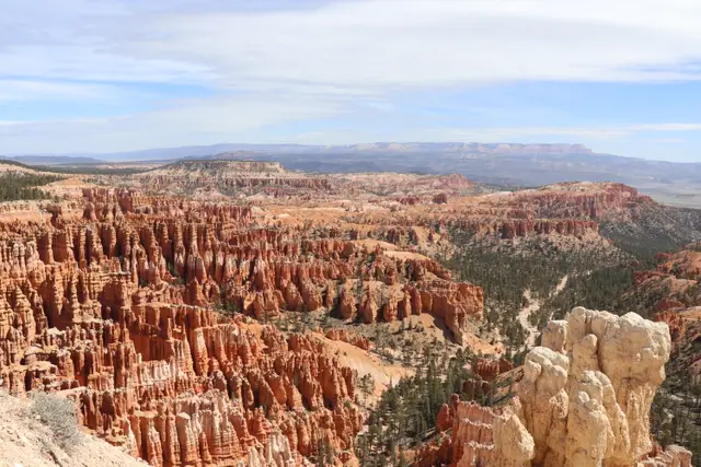 Hundreds of orange hoodoos filling Bryce Canyon's amphitheater, forest and plateau beyond.
